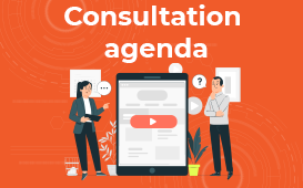 PIRO consultation process explained with structured agenda